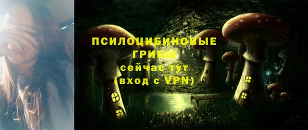 молекула духа Карпинск
