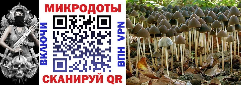 цены   shop клад  Галлюциногенные грибы GOLDEN TEACHER  Луга 