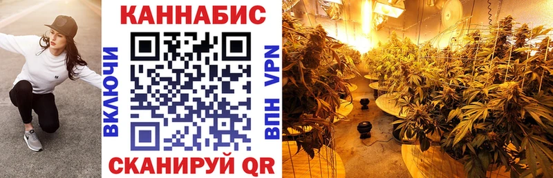 Шишки марихуана ГИДРОПОН  Луга 